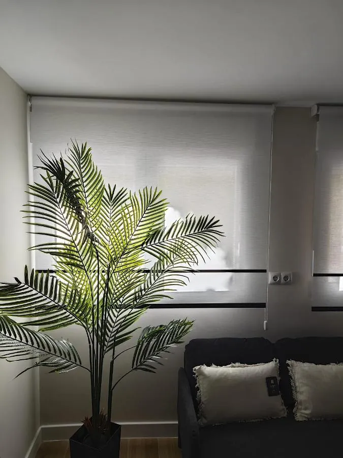 Apartment Studio Sevilla Suites Malaga Spain